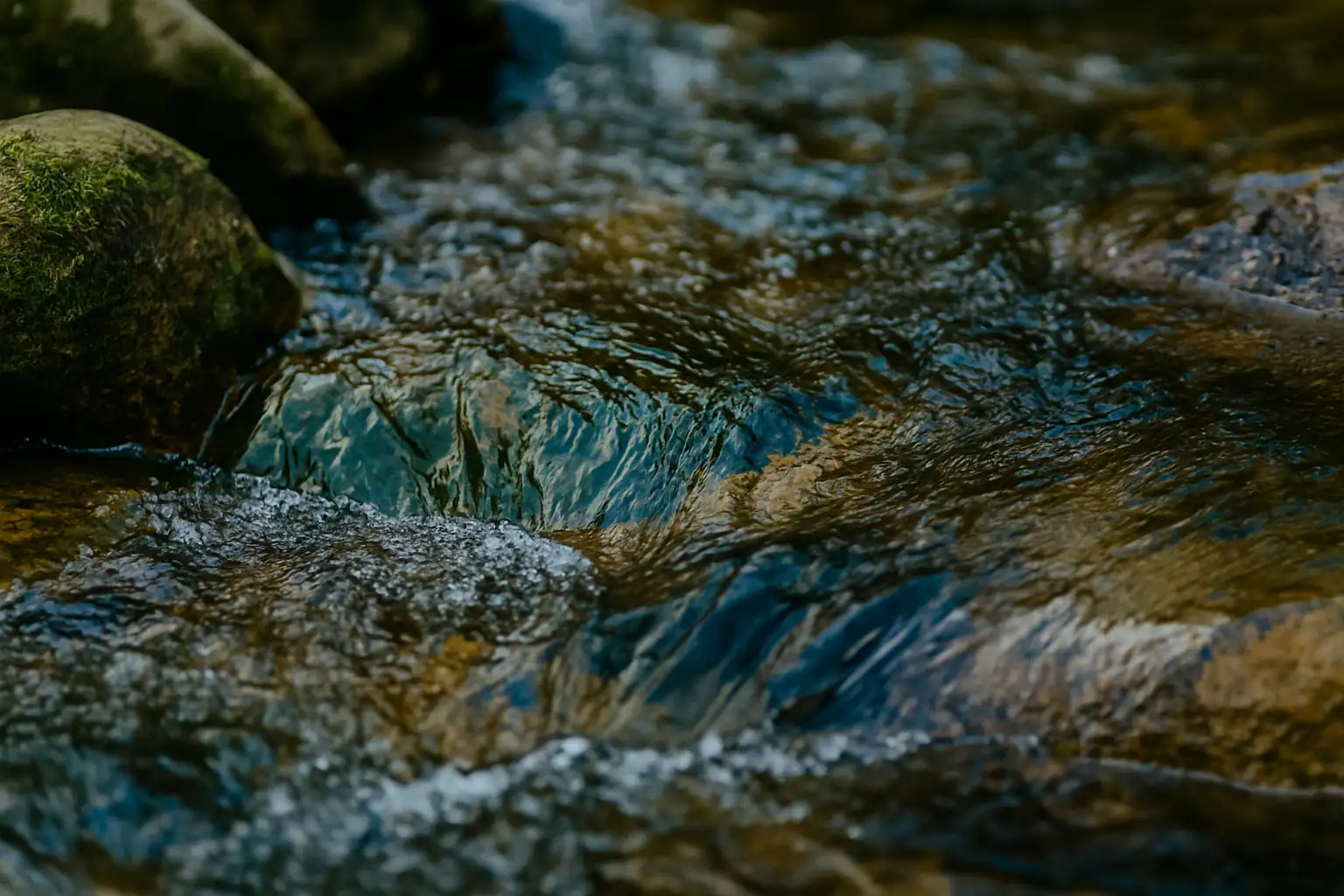 Rainwater collection system