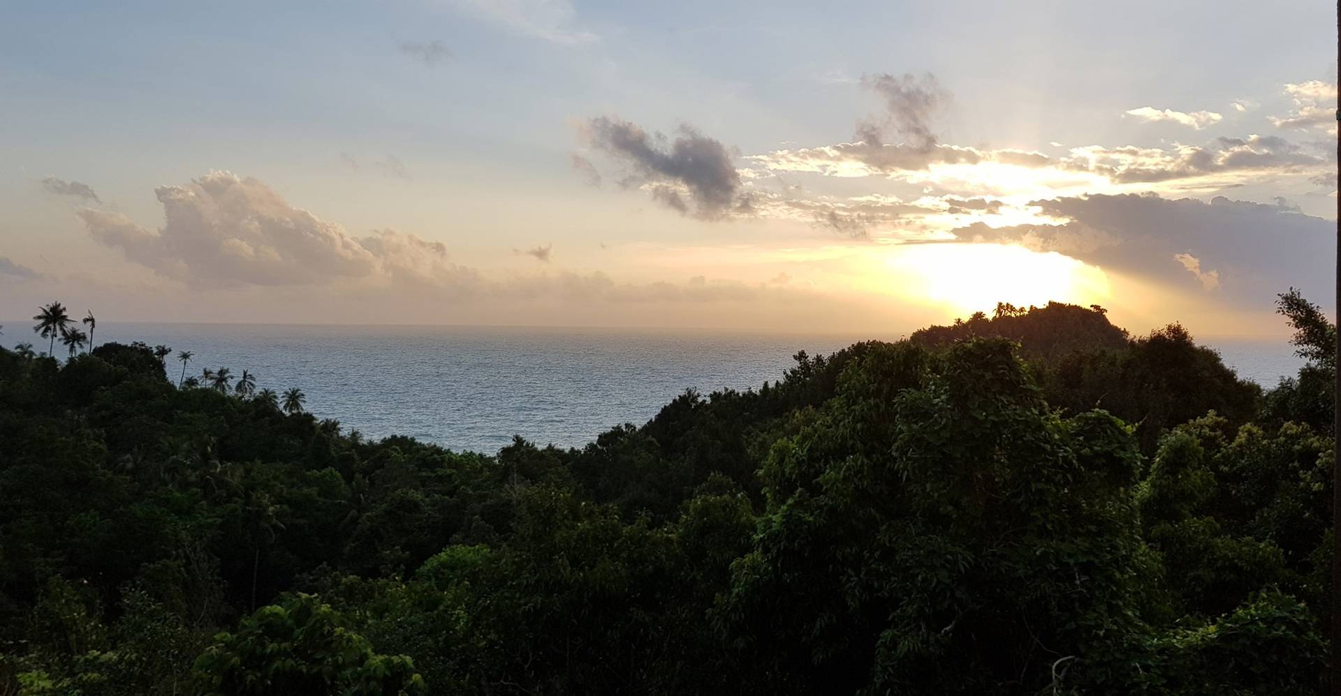 Morning view over the jungle canopy from dormitory – Tribe Loft Dorm